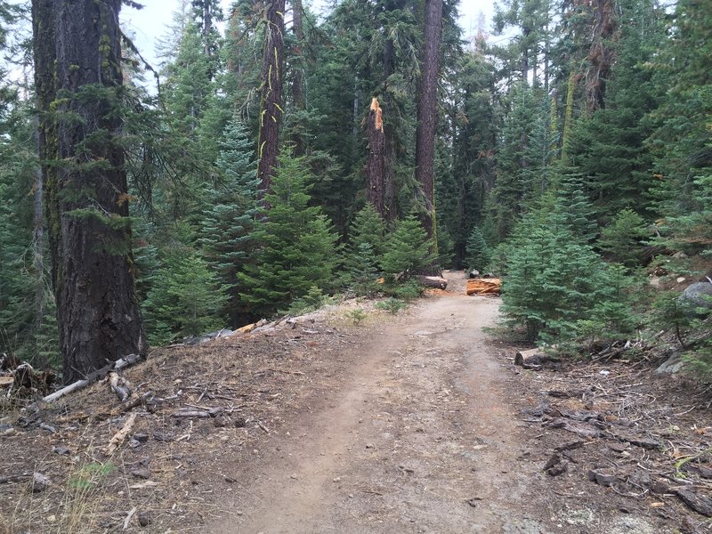 Typical doubletrack dirt road section on about half the trail.