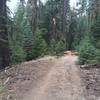 Typical doubletrack dirt road section on about half the trail.