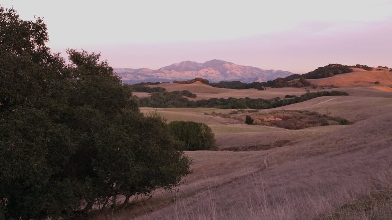 Briones Crest view towards Mt. Diablo.