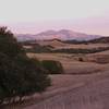 Briones Crest view towards Mt. Diablo.