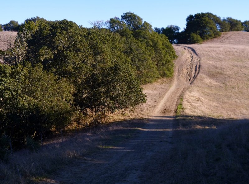 Briones Crest.