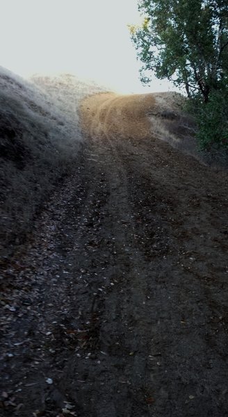 Upper Abrigo Valley Trail.