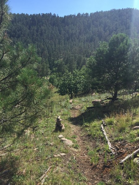 View down the west descent on the Cairn Trail in Custer SP, looking across the valley of Grace Coolidge Creek.