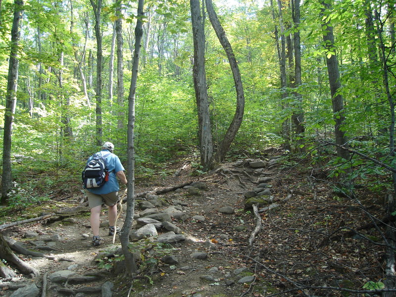 Beautiful and well-maintained trail! with permission from irishlazz