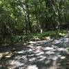 Trail Intersection:  Upper Hawksbill Trail and Hawksbill Fire Road.