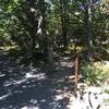 Trail Intersection: Upper Hawksbill Trail and Salamander Trail.