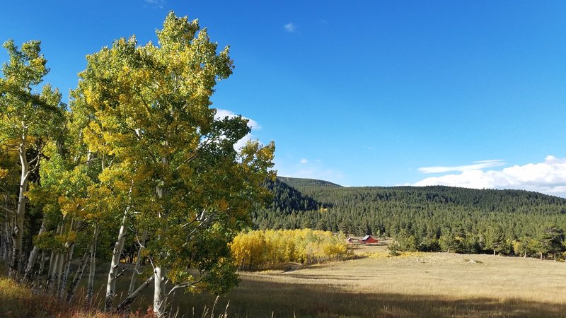 Sweeping meadows and aspens along historic grounds.