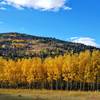 Fantastic fall colors so close to Boulder.