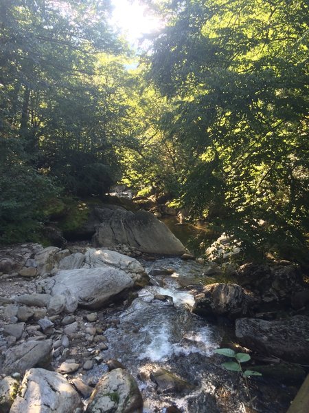 Taken from bridge next to camp 47. Pic does no justice to this place. Beautiful campsite and not easy to get to.