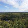 View from clearing 3/4 of the way up the Lima Mountain Trail.