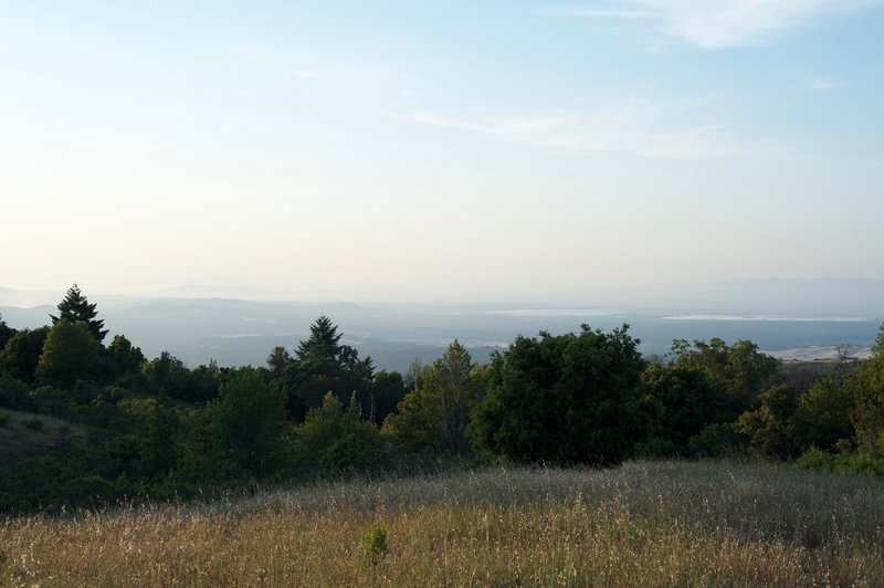 The best view in the preserve allows you to see the San Francisco Bay, cities of the bay area, and the Santa Cruz Mountains.