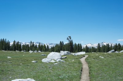 The trail with the Cathedral Range in the distance looking back toward where you came from in the spring time.