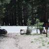 Lower Gaylor Lake Trail as it crosses Tioga Road.