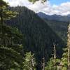 The summit of copper creek trail. Forested ridge prevents majestic views.