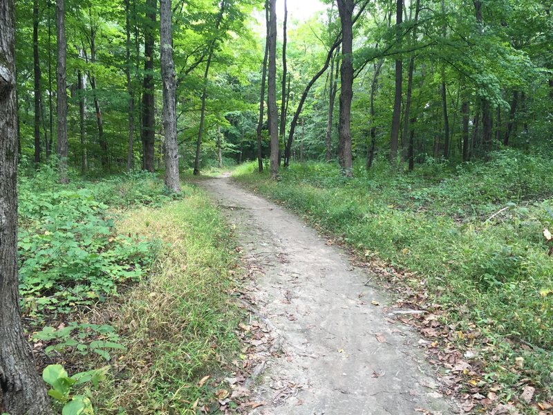 First mile on the Yellow Loop.