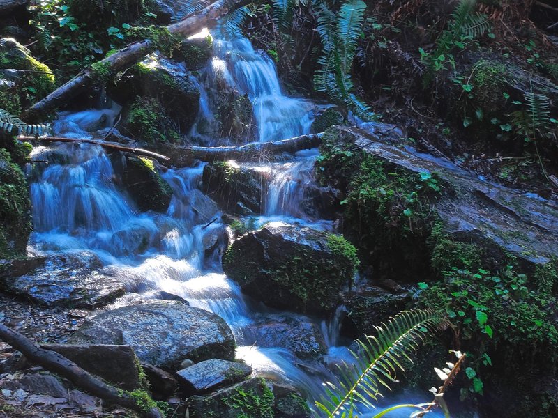 Easy creek crossing.