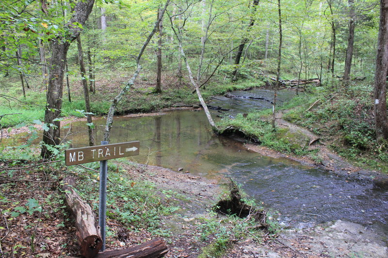 One of the stream crossings by the wildcat shelter.