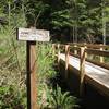 Connector Trail bridge.