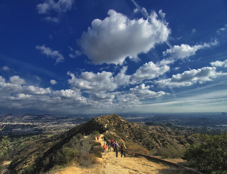 Heading on Mulholland Drive in Griffith Park to the Hollywood Sign. with permission from Elena Omelchenko