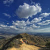 Heading on Mulholland Drive in Griffith Park to the Hollywood Sign. with permission from Elena Omelchenko