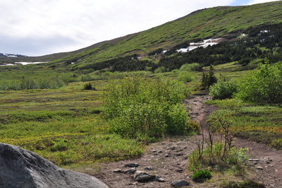 Trail as it climbs up the slope.
