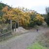 Coit Road, crossing a tributary of Coyote Creek. with permission from Edward Rooks