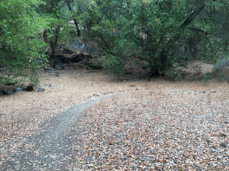 Start of uphill switchbacks.