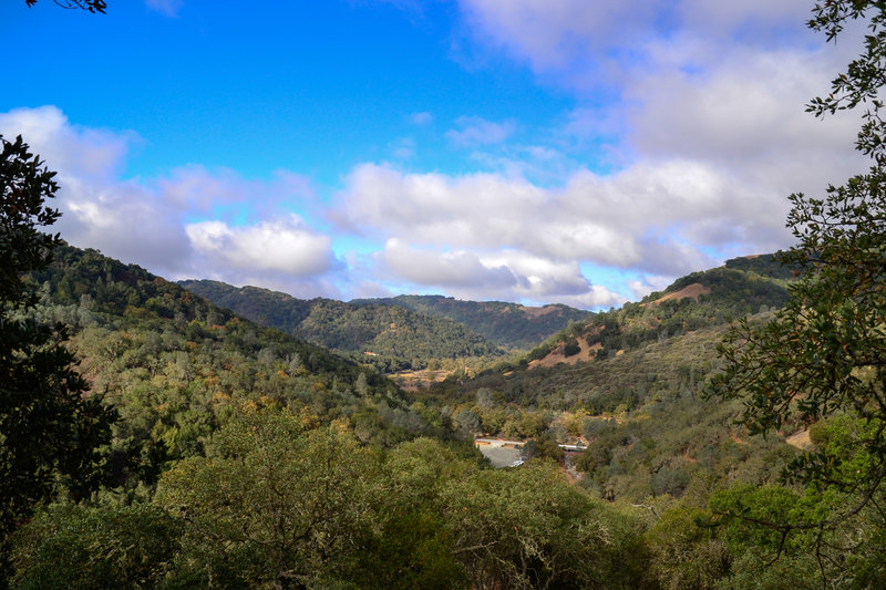 Looking out across the hills from the Jim Donnelly Trail.