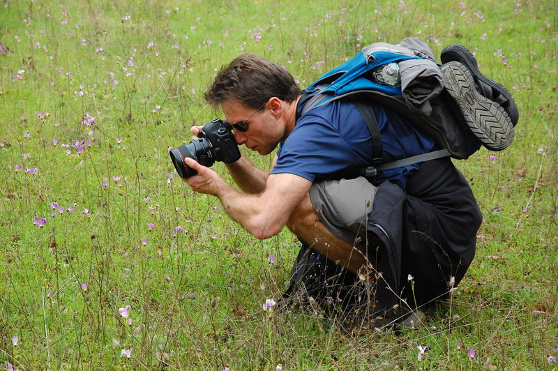 Hiking in Henry Coe State Park offers plenty of opportunities for wildflower photography.