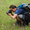 Hiking in Henry Coe State Park offers plenty of opportunities for wildflower photography.