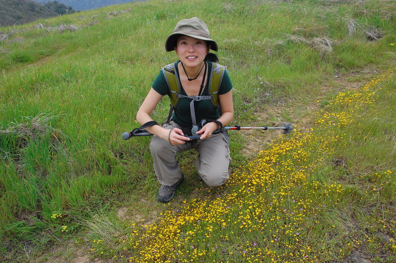 Taking a moment to take a closer look at the wildflowers.