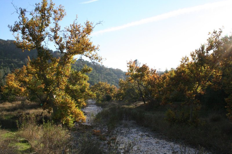 Coyote Creek. with permission from Edward Rooks