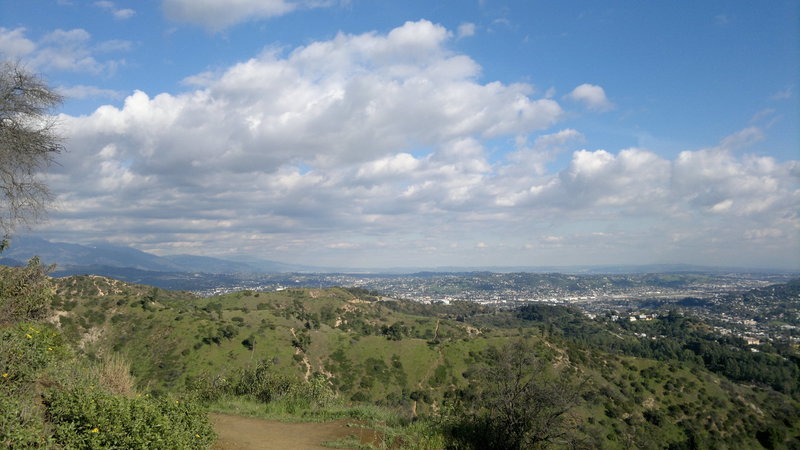 From the intersection of Mount Hollywood Summit Trail and the Bird Sanctuary Trail at Griffith Park.
