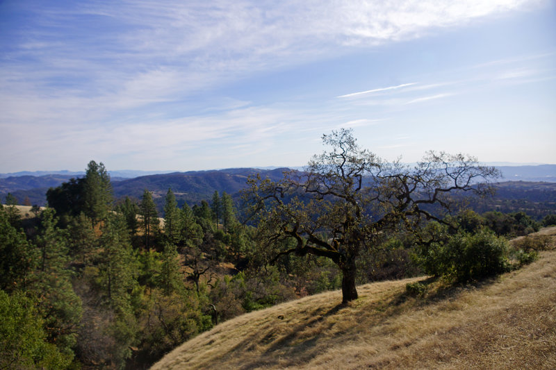 Morgan Hill, Henry W. Coe State Wilderness Park.