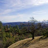 Morgan Hill, Henry W. Coe State Wilderness Park.