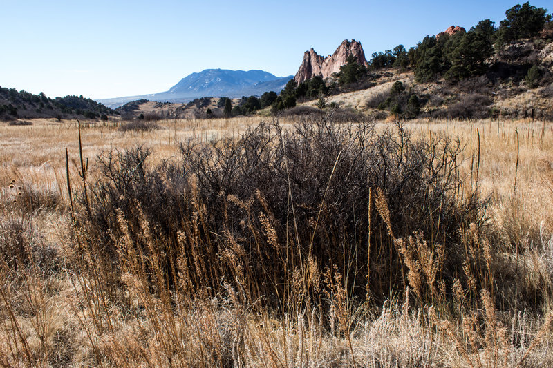 Looking south from the end of the Palmer Trail.