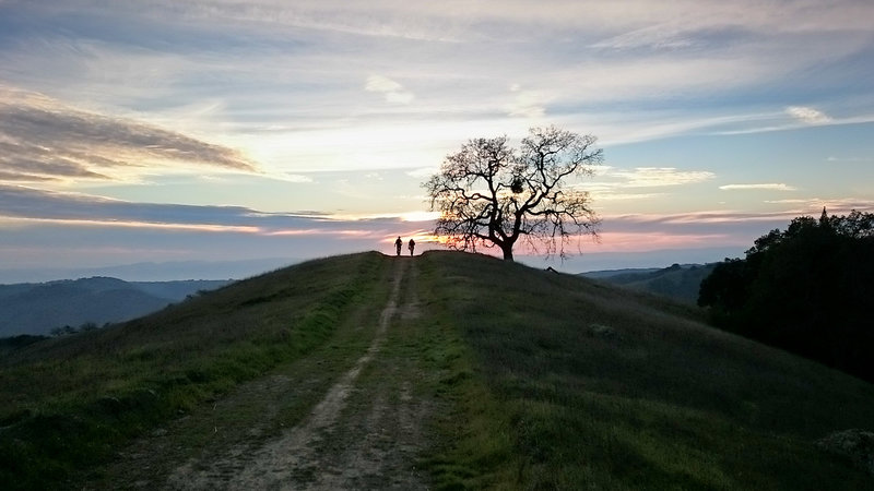 Silhouettes.