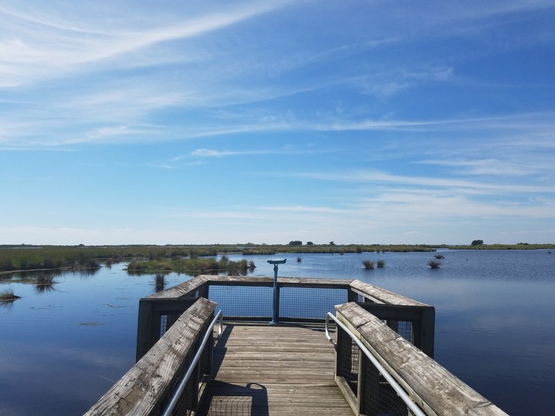 End of the line for the Alligator Marsh Boardwalk.