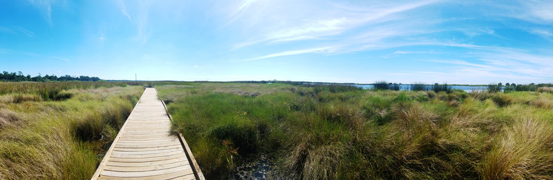 Panoramic views from the Alligator Marsh Boardwalk.