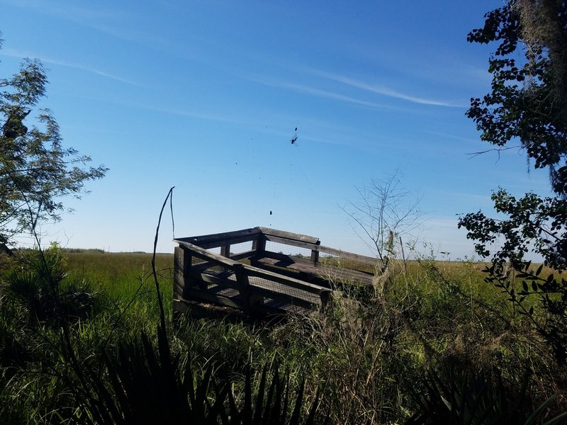 Abandoned viewing platform to the side of the trail.