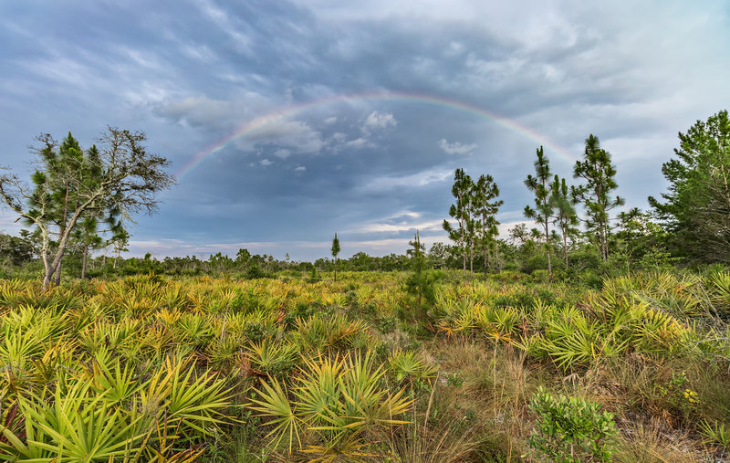 Every so often out here you get lucky with a rainbow.