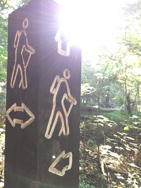 Trail markers similar to this one can be found at all the trail junctions.