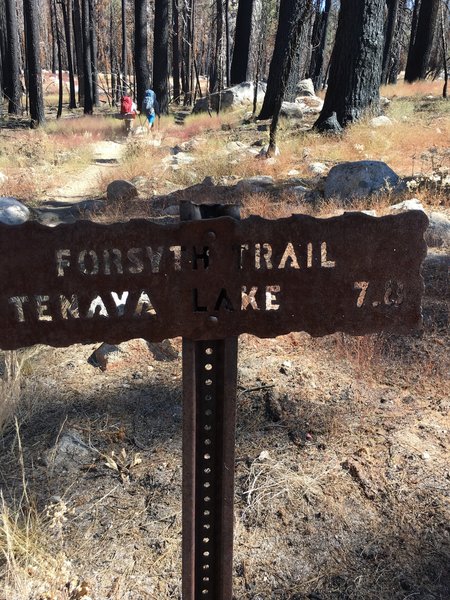 The start of the trail coming from the John Muir Trail.