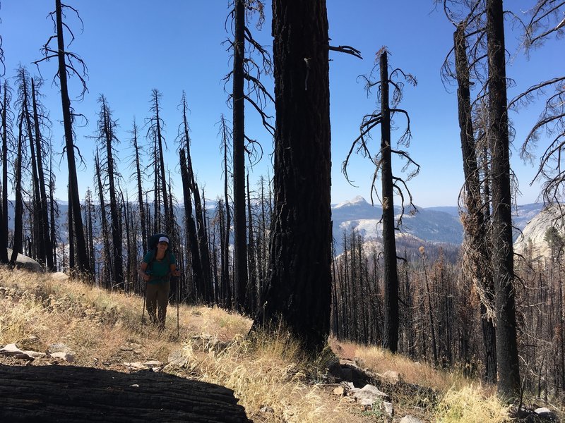 The steep grade and regular switchbacks add up.