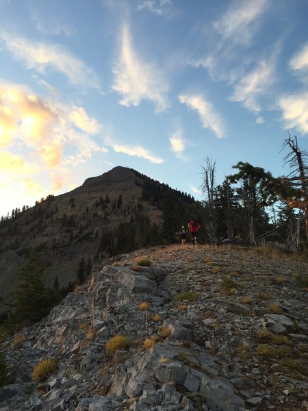 Chasing the summit on the northwest ridge.