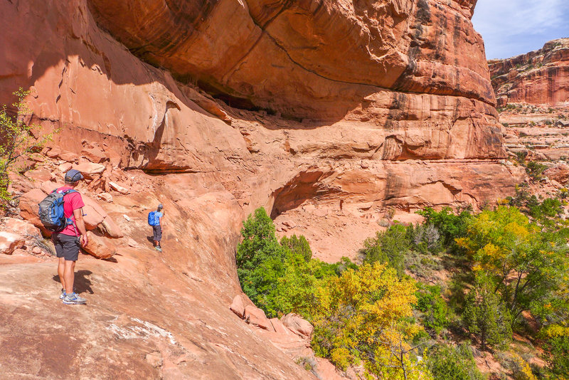 Looking up at the upper, inaccessible Junction Ruins