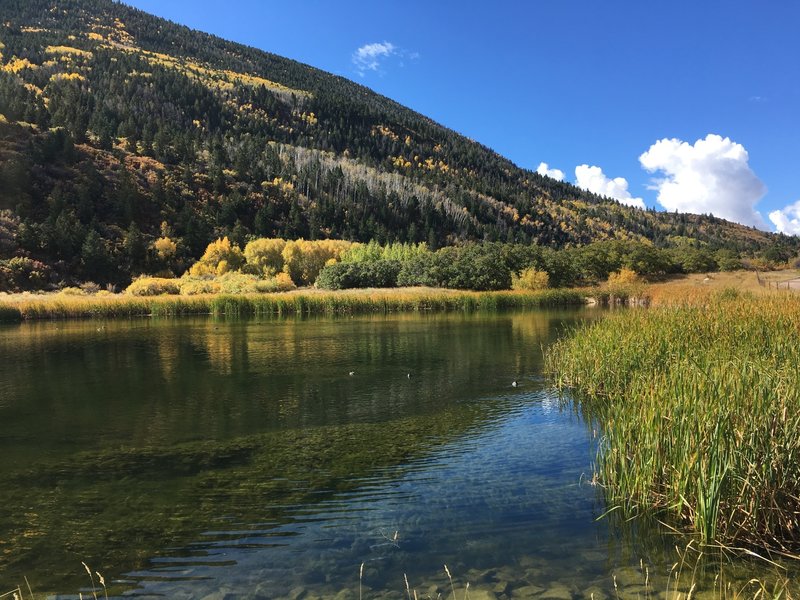 Lake at the bottom of Robertson Pasture.