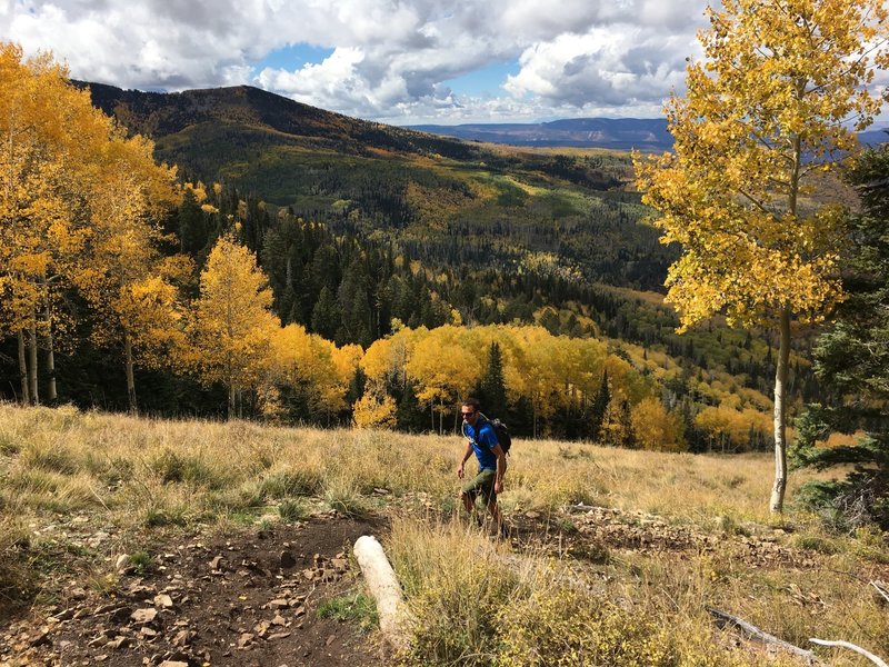 About halfway up Robertson Pasture - incredible views.