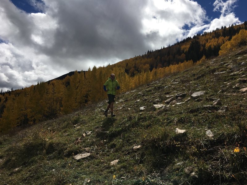 Nice open section of the Spring Creek Trail.