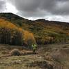 Fall colors on Spring Creek.